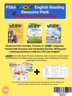 ACE MAGAZINE BUNDLE - 3 ISSUES
