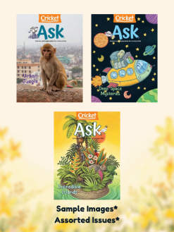 ASK MAGAZINE - 3 ISSUES