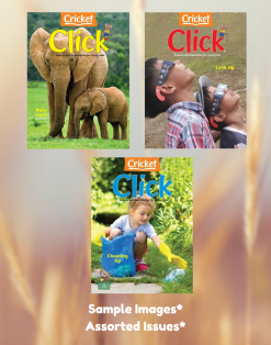 CLICK MAGAZINE - 3 ISSUES