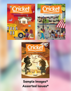 CRICKET MAGAZINE - 3 ISSUES