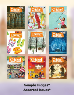CRICKET MAGAZINE - 9 ISSUES