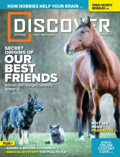 DISCOVER - 8 ISSUES