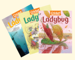 LADYBUG MAGAZINE - 4 ISSUES
