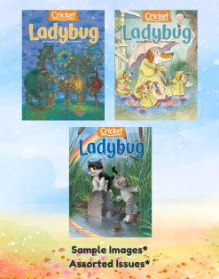 LADYBUG MAGAZINE - 3 ISSUES