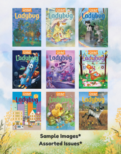 LADYBUG MAGAZINE - 9 ISSUES