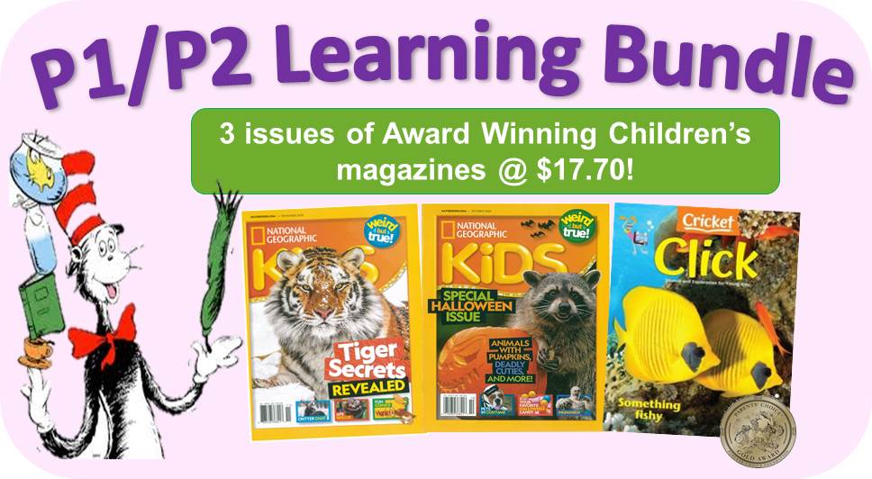Primary 1 and 2 Learning Bundle – Adept Learning Pte Ltd