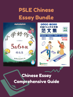 PSLE Chinese Essay Bundle