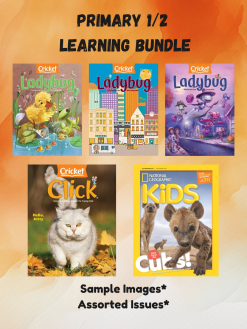 Primary 1/2 Learning Bundle