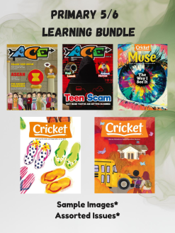 PRIMARY 5/6 S.T.R.E.A.M Learning Bundle