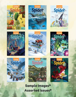 SPIDER MAGAZINE - 9 ISSUES