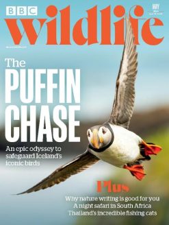 BBC WILDLIFE - 13 ISSUES